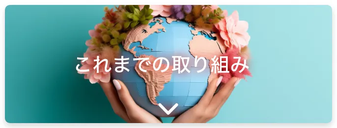 これまでの取り組み